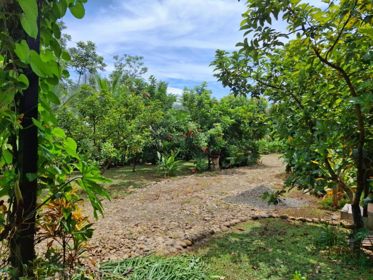 Bungalow Batsu La Fortuna 外观 照片