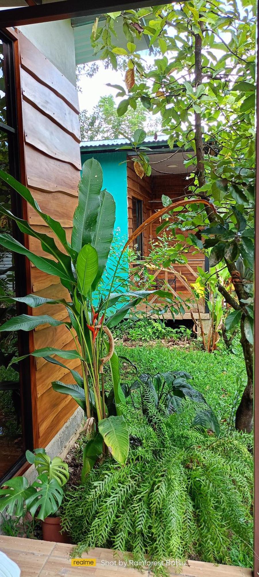 Bungalow Batsu La Fortuna 外观 照片
